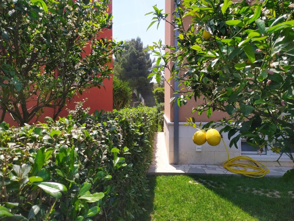 Apartmani Skejic سبليت المظهر الخارجي الصورة